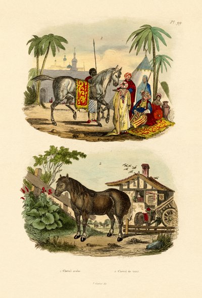 Arab Horse by French School